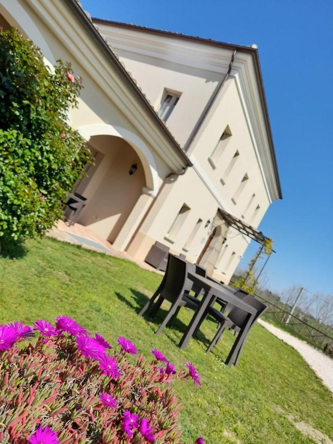 Villa Marietta Country House - Marche Montemaggiore al Metauro Exterior foto