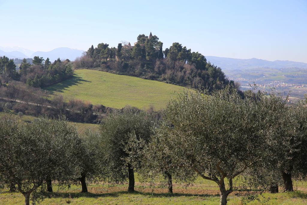 Villa Marietta Country House - Marche Montemaggiore al Metauro Exterior foto